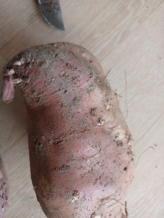 유경희님의 딸기 · 일상 작성글 사진