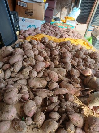 유경희님의 딸기 · 일상 작성글 사진