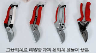 yonghi65님의 작성글 사진