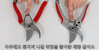 yonghi65님의 작성글 사진