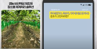 정보의바다님의 기타작물 · 병해충상담 작성글 사진