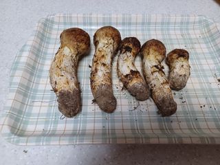 함양촌놈님의 팜모닝 · 출석 작성글 사진