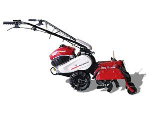 서정상사님의 작성글 사진