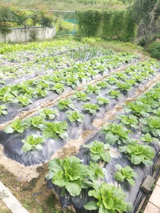 권혁관님의 팜모닝 · 출석 작성글 사진