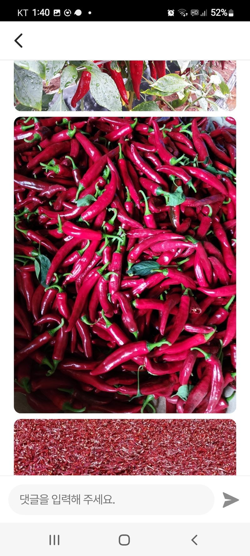 강화댁님의 장터 판매 상품 [고추가루 ] 첨부 사진