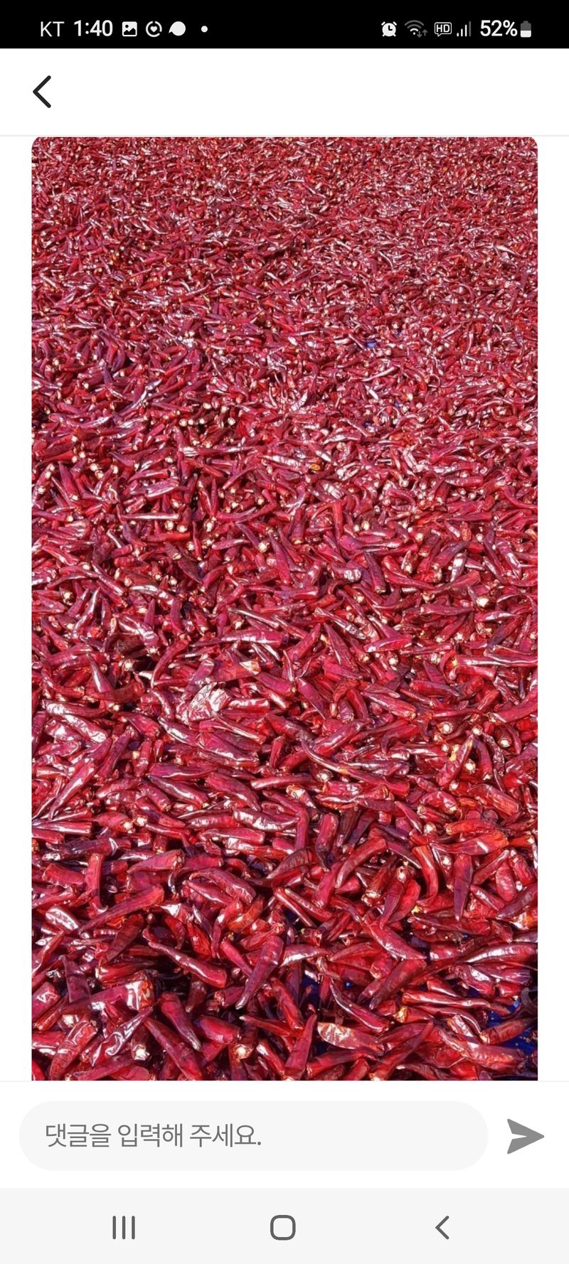 강화댁님의 장터 판매 상품 [고추가루 ] 첨부 사진