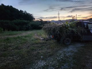 정연후님의 자두 · 자유게시판 작성글 사진