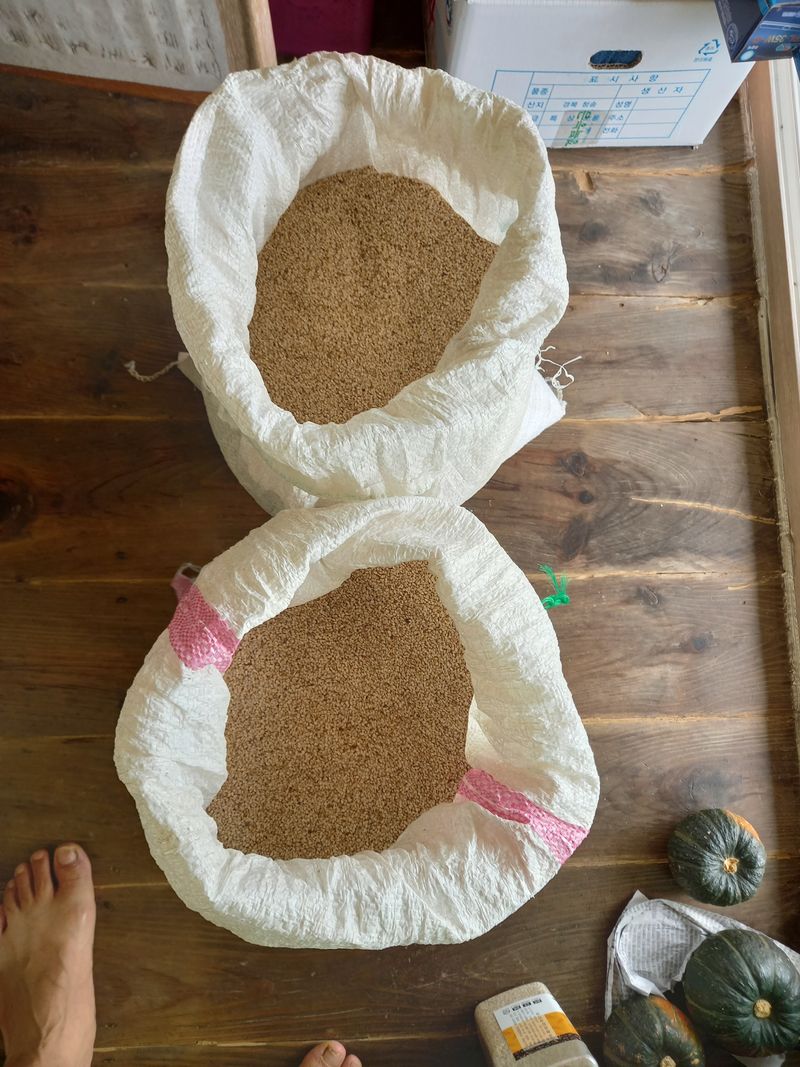 서애  기원님의 장터 판매 상품 [참께 한되  1.3킬로 30000원] 첨부 사진