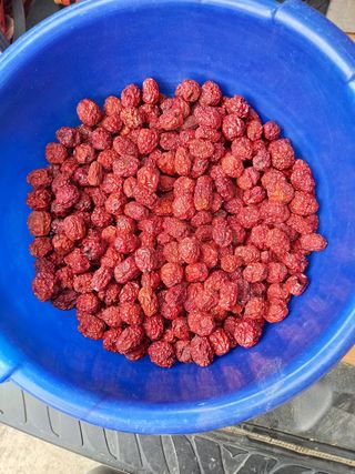 서애 기원님의 팜모닝 · 출석 작성글 사진