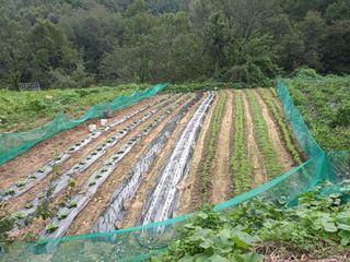 서애 기원님의 팜모닝 · 출석 작성글 사진