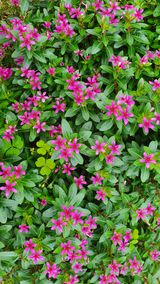 팜모닝 팜모닝·출석 게시글 이미지