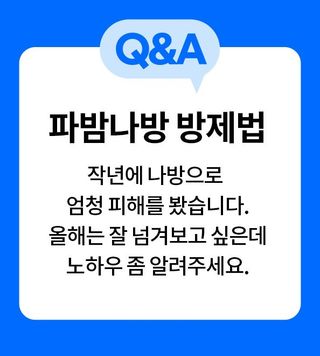 병해충 알리미님의 기타작물 · 병해충상담 작성글 사진