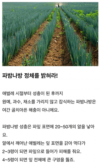 병해충 알리미님의 기타작물 · 병해충상담 작성글 사진