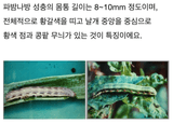 팜모닝 기타작물·병해충상담 게시글 이미지