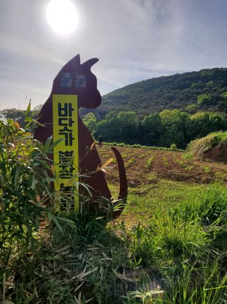 김진욱님의 작성글 사진