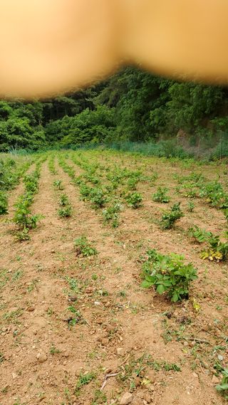 김진욱님의 작성글 사진