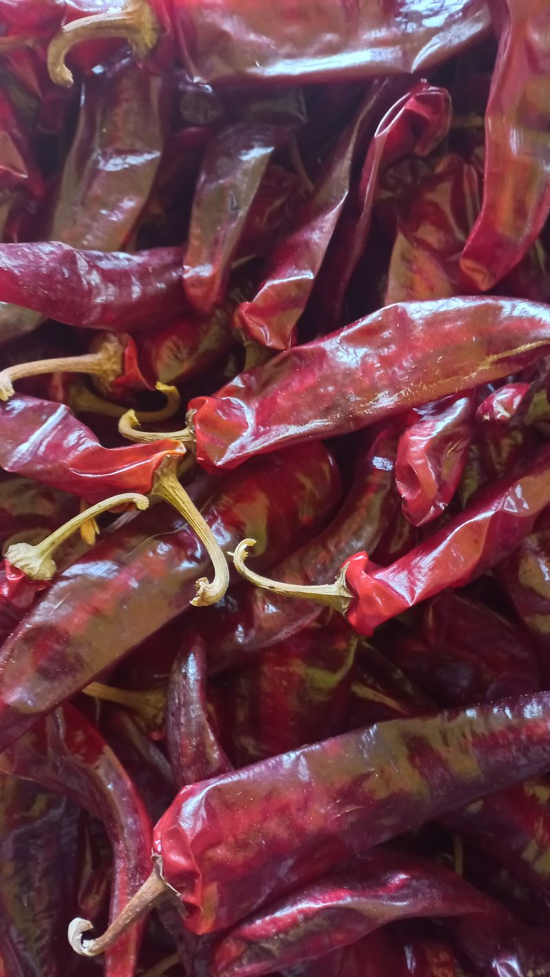 장터 상품 [고추가루 근에15000원 5근 10근단위판매] 썸네일