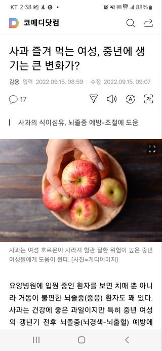 하동매님의 마늘 · 일상 작성글 사진