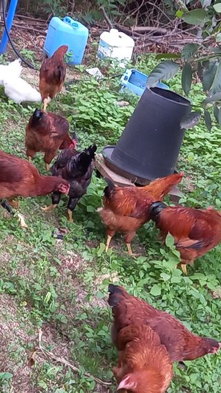 김영기님의 팜모닝 · 출석 작성글 사진