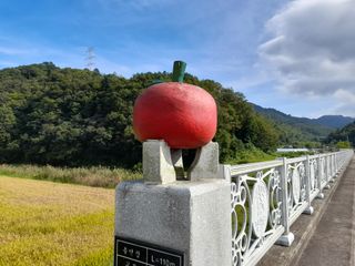 양귀비님의 벼 · 자유게시판 작성글 사진