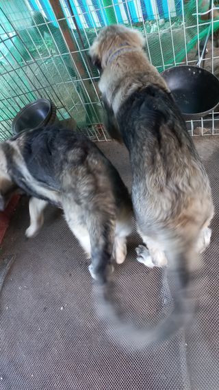 김관인님의 팜모닝 · 출석 작성글 사진