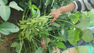 우창근님의 팜모닝 · 출석 작성글 사진