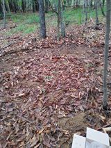 팜모닝 기타작물·병해충상담 게시글 이미지