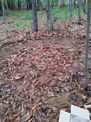 마음은자연인님의 기타작물 · 병해충상담 작성글 사진