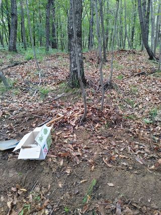 마음은자연인님의 기타작물 · 병해충상담 작성글 사진