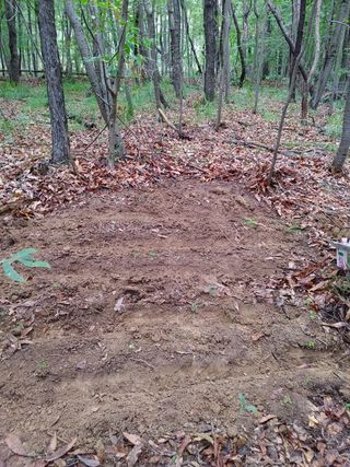 마음은자연인님의 기타작물 · 병해충상담 작성글 사진