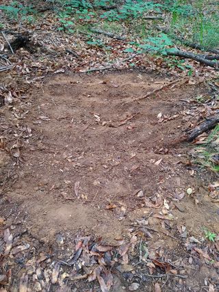 마음은자연인님의 기타작물 · 병해충상담 작성글 사진