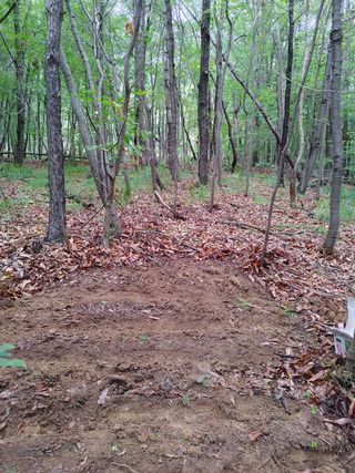 마음은자연인님의 기타작물 · 병해충상담 작성글 사진