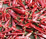 팜모닝 자두·자유게시판 게시글 이미지