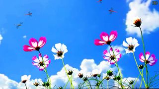 별헤는농부님의 시금치 · 일상 작성글 사진