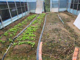 경주농장님의 팜모닝 · 출석 작성글 사진