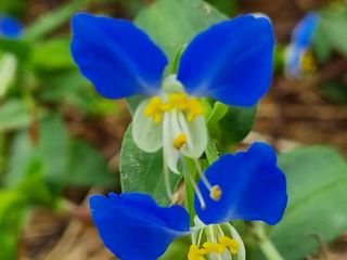 박상석님의 팜모닝 · 출석 작성글 사진