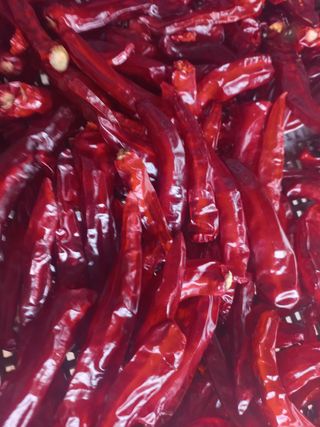 박명옥님의 작성글 사진