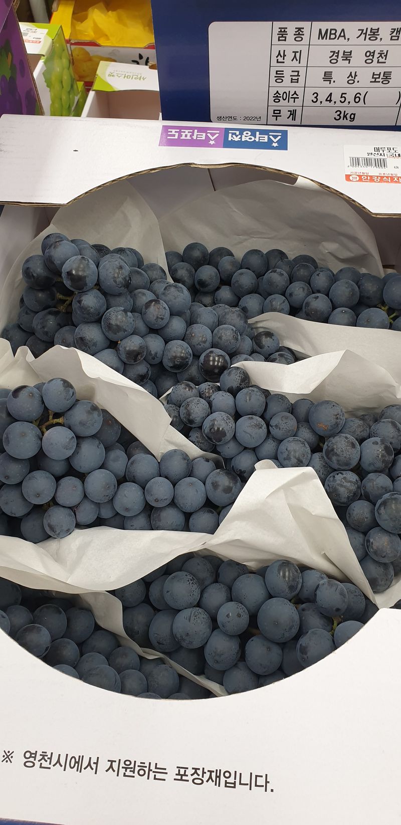 장터 상품 [머루포도(MBA) 3kg.20,000] 썸네일