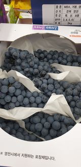 팜모닝 · 게시글 이미지