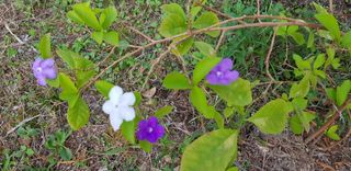 소망이님의 감 · 자유게시판 작성글 사진