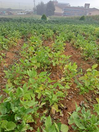 김종헌님의 팜모닝 · 출석 작성글 사진