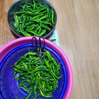 knlee님의 팜모닝 · 출석 작성글 사진