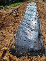 팜모닝 팜모닝·출석 게시글 이미지