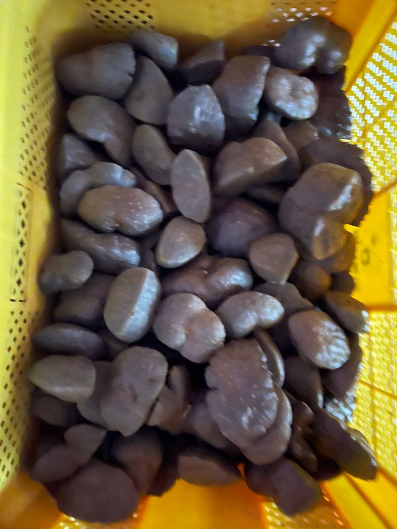 초보사과농뷰님의 장터 판매 상품 [하늘마 1kg 7000] 첨부 사진