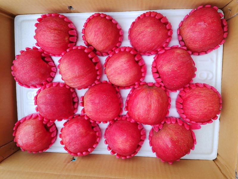 장터 상품 [후브락스 부사] 썸네일