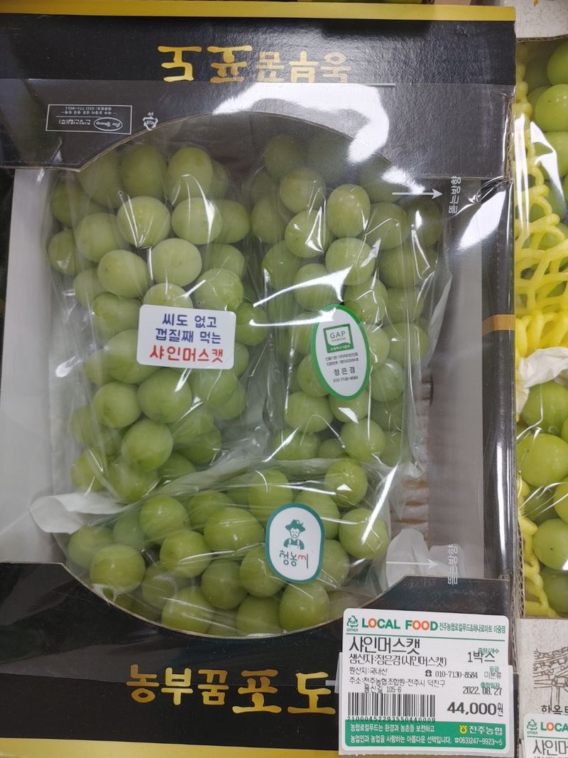 팜모닝회원전상배님의 장터 판매 상품 [샤인머스켓 55000] 첨부 사진