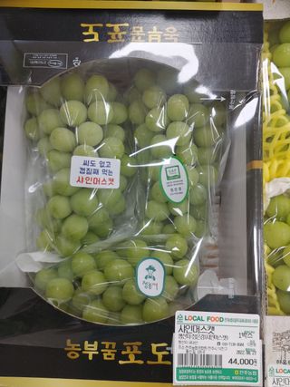 팜모닝회원전상배님의 작성글 사진