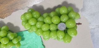 팜모닝회원전상배님의 작성글 사진