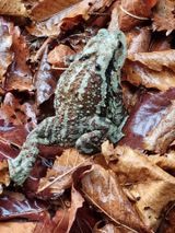 팜모닝 팜모닝·출석 게시글 이미지