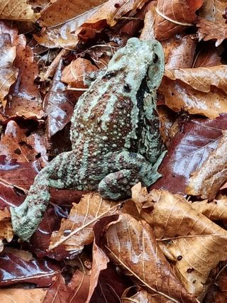 이재왕님의 팜모닝 · 출석 작성글 사진